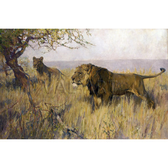 РЕПРОДУКЦИИ НА КАРТИНИ Лъв и лъвица оглеждащи територията си (1891)